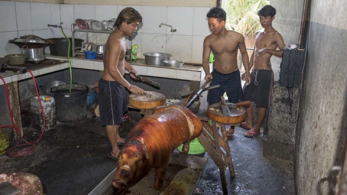 De geroosterde speenvarkens worden aan het spit eetklaar gemaakt