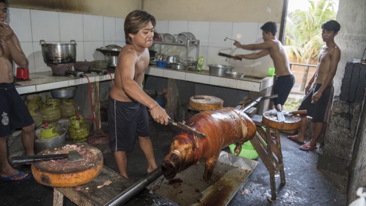 Koks draaien een speenvarken aan het spit in een Balinese keuken