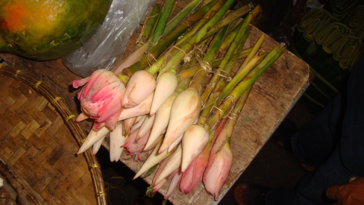 Verse kencur en andere aromatische wortels op een marktkraam